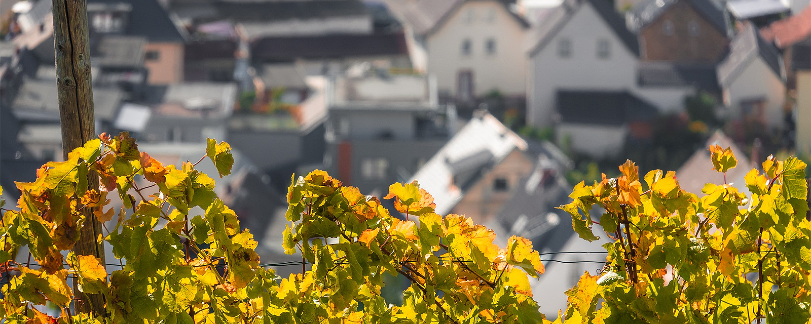 weinboehla_bannerbild_2